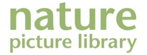 https://www.naturepl.com/blog/