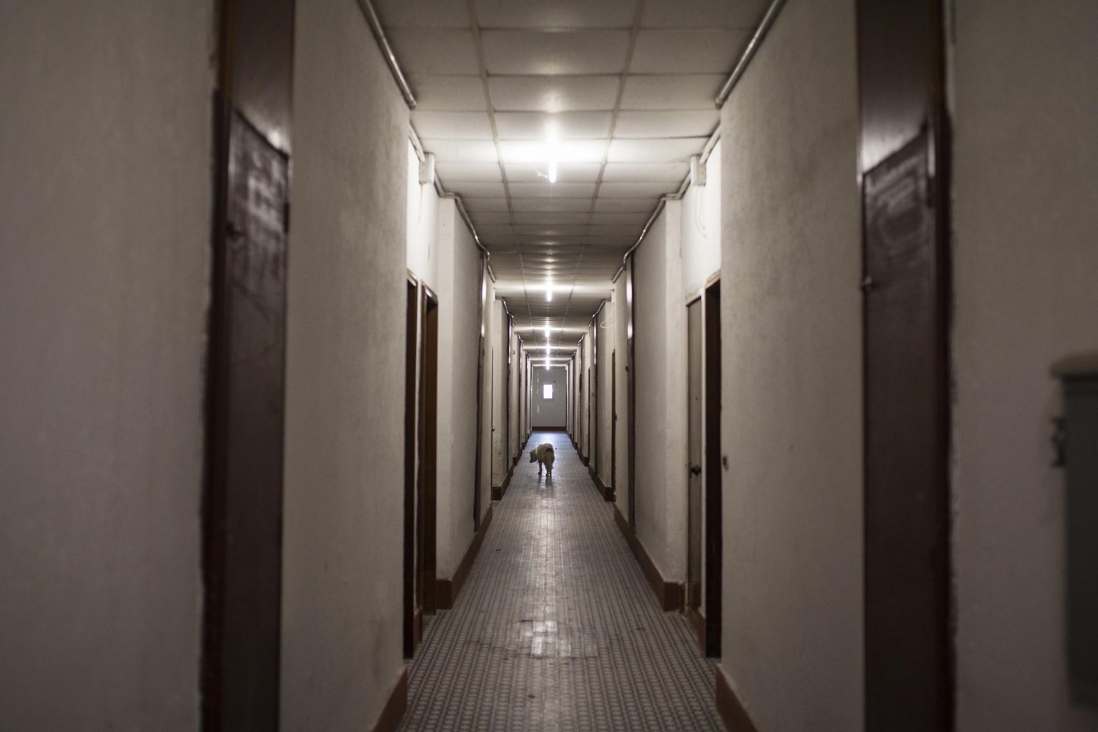 Claudia lost her son. On the 7th of October 2014 on the verge of one of their umpteenth fight Emiliano left with their three months son, hiding him for days from her. She immediately claimed custody of him.
In this picture the hallway of the residence building in the Coppola village where she decided to move with a regular rent contract In order to have the best chances to win custody of her son but worsening her economic instability.
