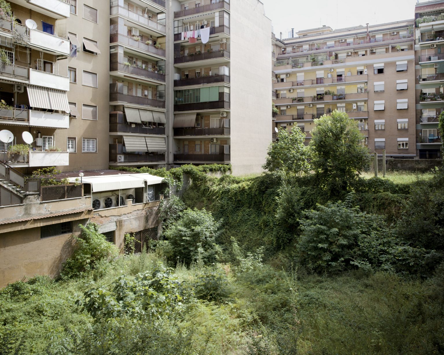 Rome, June 2014 - Pigneto district, abandoned space in via Ettore Giovenale.
><
Roma, giugno 2014 - Pigneto, Spazio abbandonato in via Ettore Giovenale.