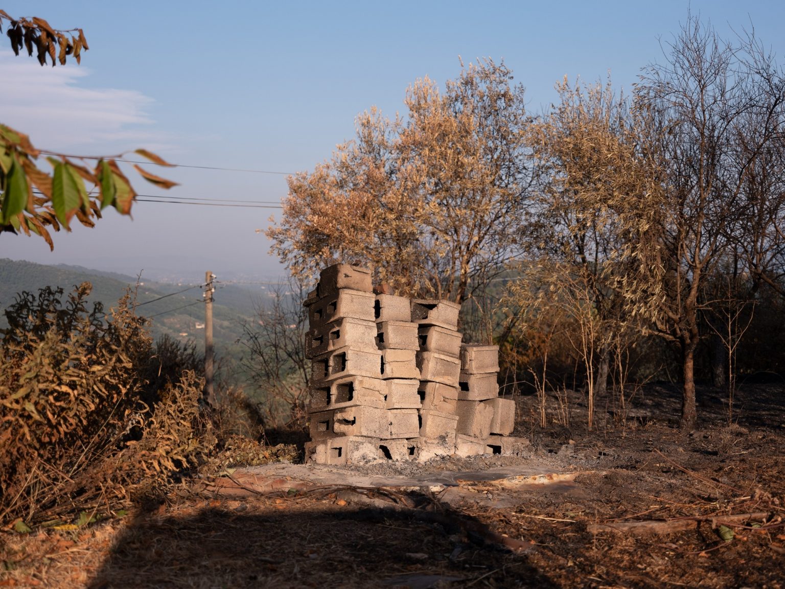 Terreni distrutti dalle fiamme a Fibbialla.

Fibbialla (Lucca), Italia, 2022
-
-
Land destroyed by flames in Fibbialla.

Fibbialla (Lucca), Italy, 2022