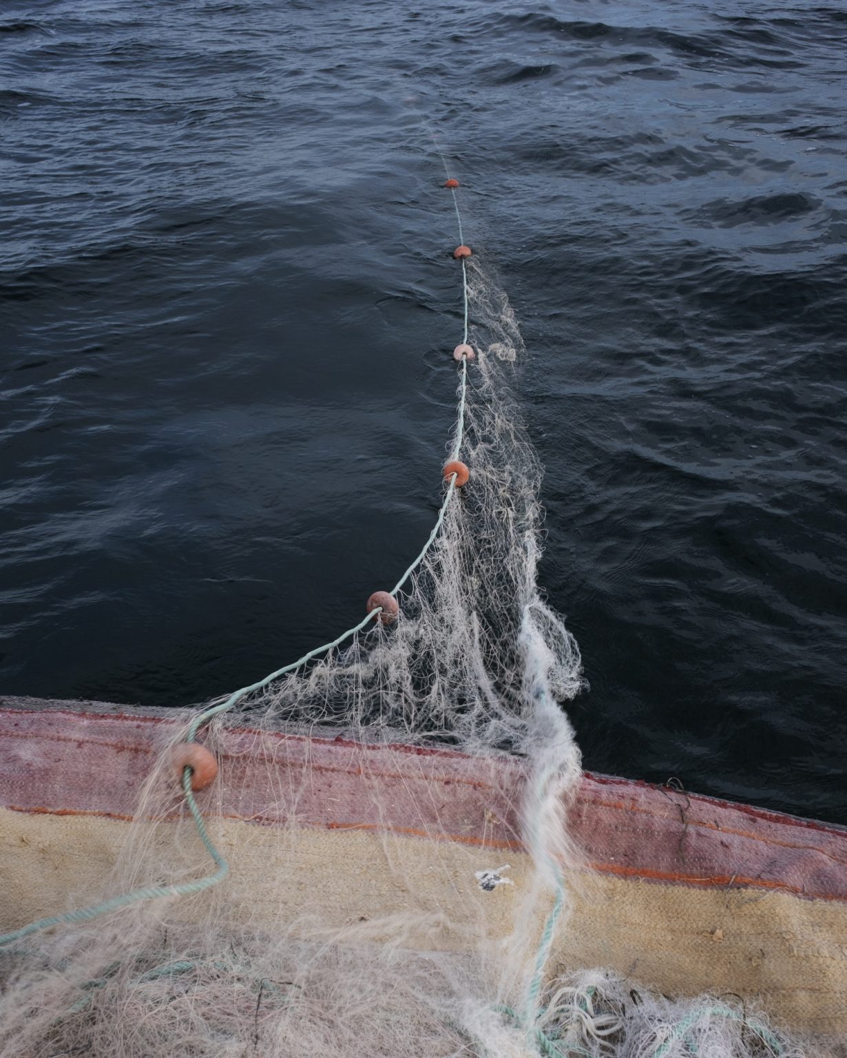 Kerkennah Islands (Tunisia), June 2022 - The nets roll out into the sea as Sara rows the boat.
><
Isole Kerkennah (Tunisia), giugno 2022 - Le reti si srotolano in mare mentre Sara rema la barca.