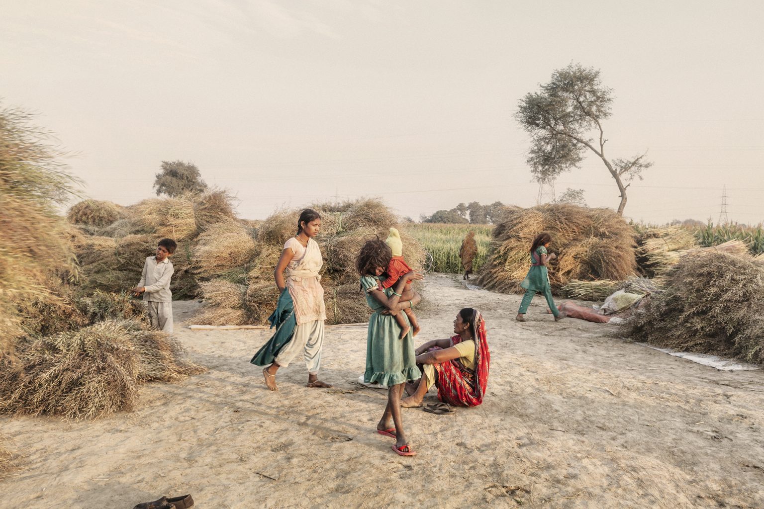 Women collect mustard leaves in a field accross an oil refinery along the Ganges, 2014.