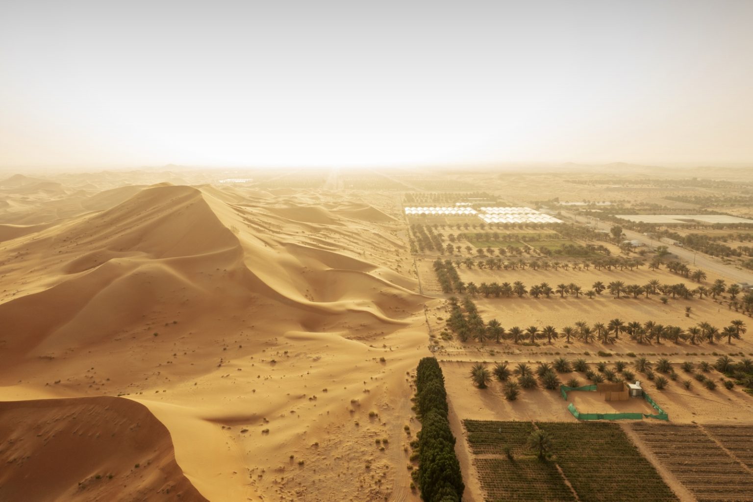 UAE, Green Dunes, 2022.
This series shows rectangular date palm plantations, one of the only crops that will grow with the salty groundwater and arid soil. On Abduls farm its a different story. His farm, in the shadow of a leviathan sand dune, grows quinoa, alfalfa and even courgette using a novel circular system he learned at the biosaline centre. The low-tech process means that food for UAE grows, even in the deep desert.  

Emirati Arabi Uniti, Dune verdi, 2022.
Questa serie mostra piantagioni rettangolari di palme da dattero, una delle uniche colture in grado di crescere con le acque sotterranee salate e il terreno arido. Nella fattoria di Abdul la storia è diversa. Nella sua fattoria, all'ombra di una duna di sabbia leviatana, si coltivano quinoa, erba medica e persino zucchine, utilizzando un innovativo sistema circolare appreso al centro biosaline. Il processo a bassa tecnologia significa che il cibo per gli Emirati Arabi Uniti cresce, anche nel profondo deserto.
